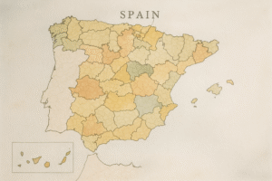 1117 Los municipios y provincias forman parte de la Administración…